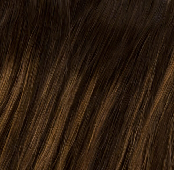 Dark Rooted Natural Dark Balayage