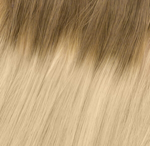 Dark Rooted Highlighted Natural Blonde